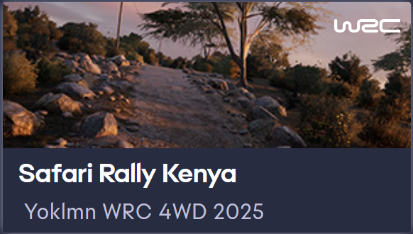 Yoklmn WRC 4WD 2025