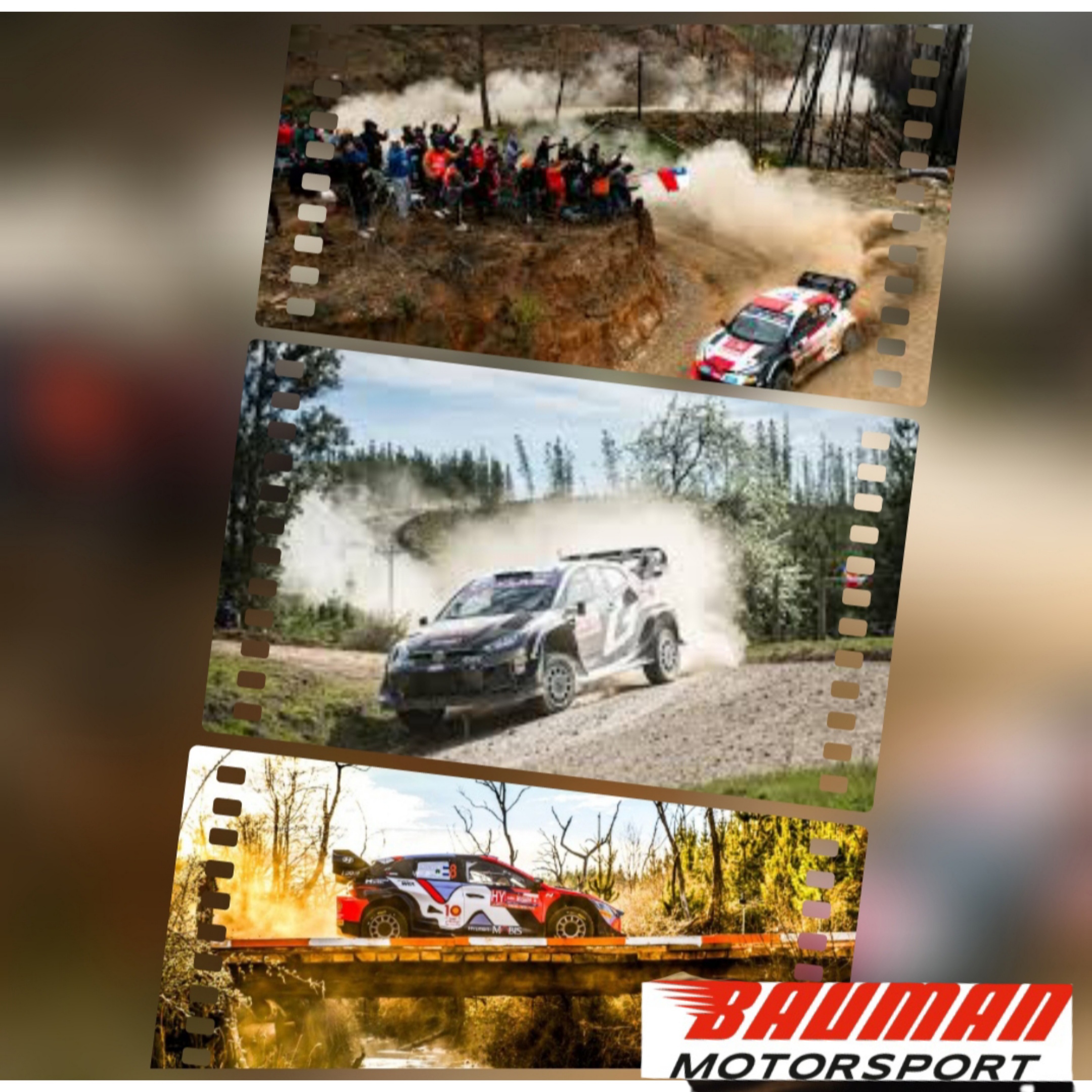 Bauman Motorsport Simracing Rally Championship 2025