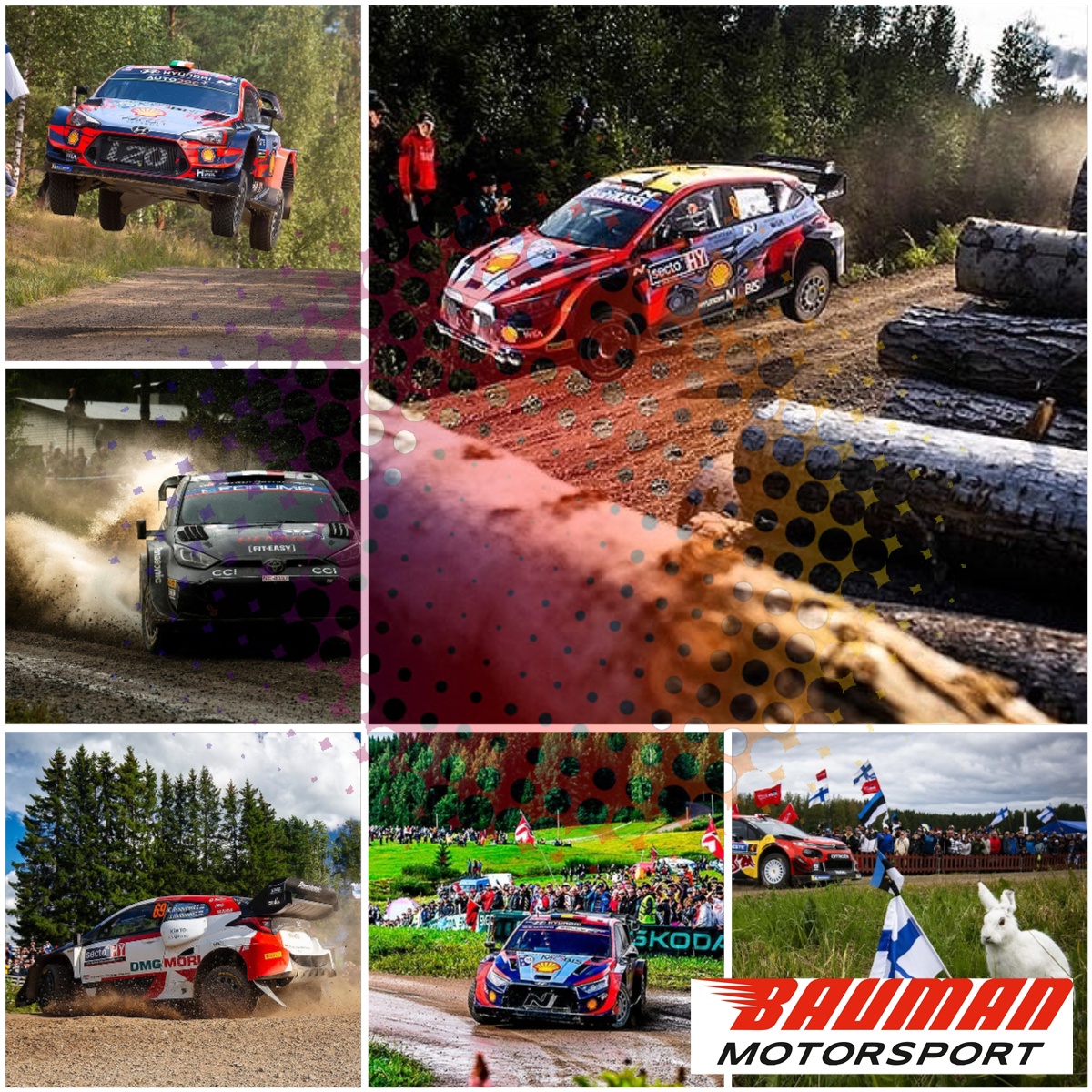 Bauman Motorsport Simracing Rally Championship 2025