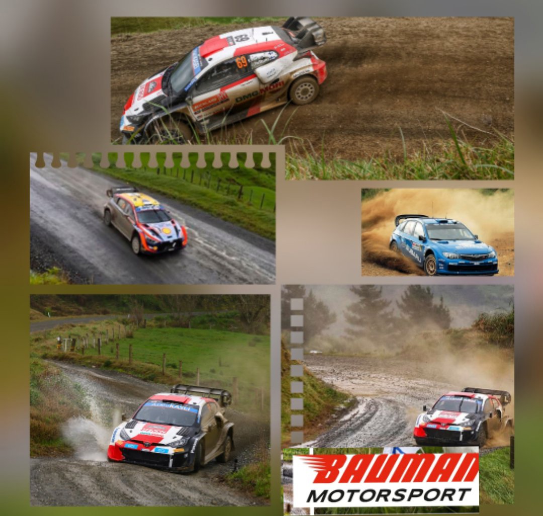 Bauman Motorsport Simracing Rally Championship 2025