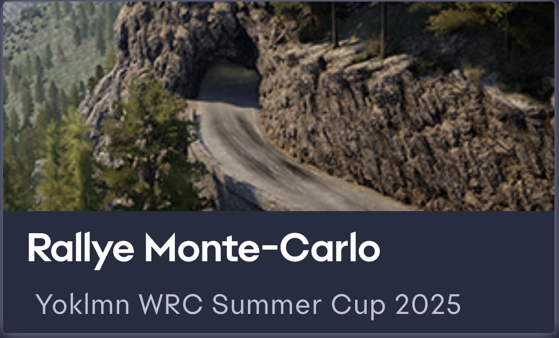 Yoklmn WRC Summer Cup 2025