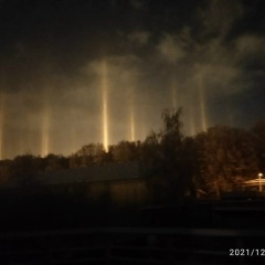 Лежнин Тимофей