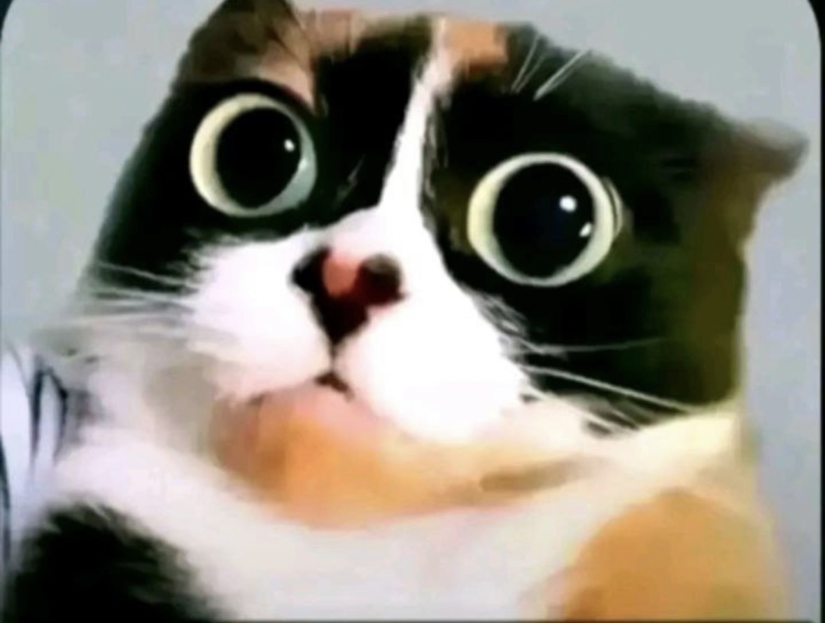 Цефиро Сергей