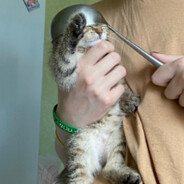 Svetlakov Mihach(Ptk Cp)