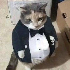 Ц Константин