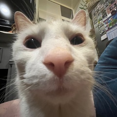 Канатников Захар