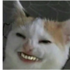 Лукьянчев Глеб