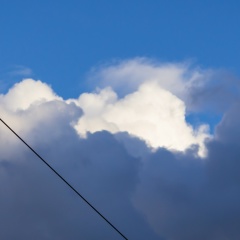 Власов Владимир