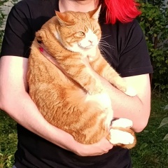 Лебедева Алиса