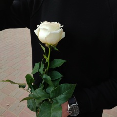 Михайлович Никита