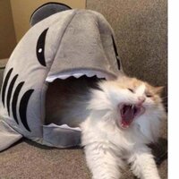 Федичкин Миша