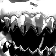 Широков Кирилл