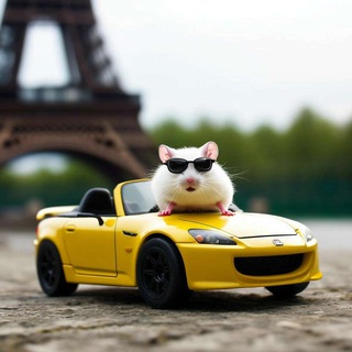 Natey-Golenko Mikhail