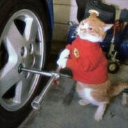 Пчелка Турбо