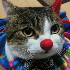 Марченко Влад