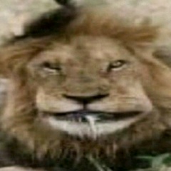 Попов Сергей