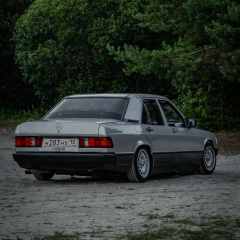 Расколенко Антон