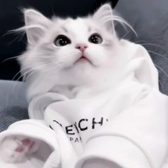 Грималяк Николай