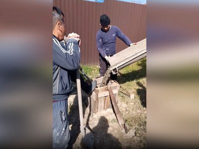 изображение портфолио
