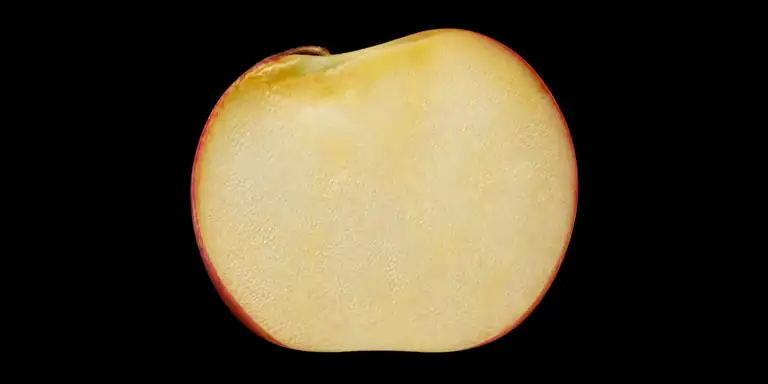 flesh