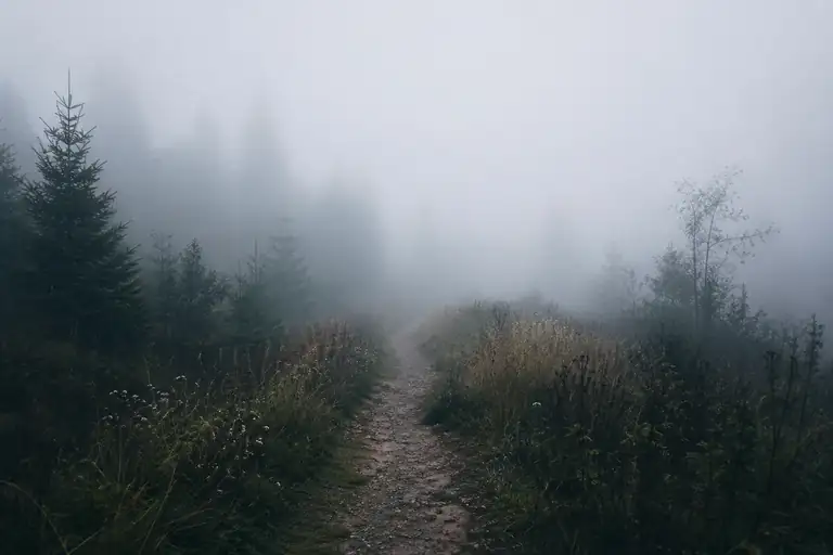 invisible