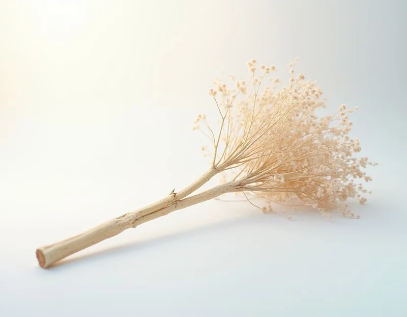 burdock root