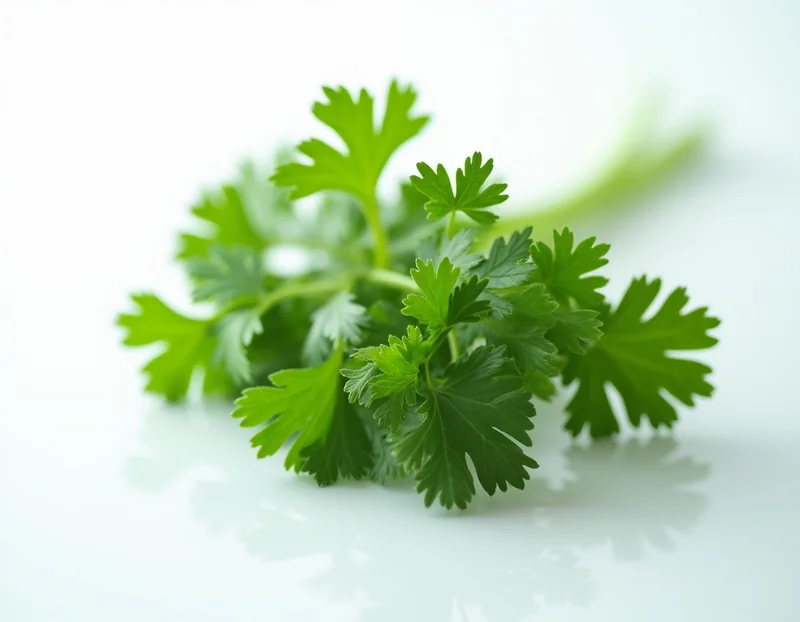 parsley
