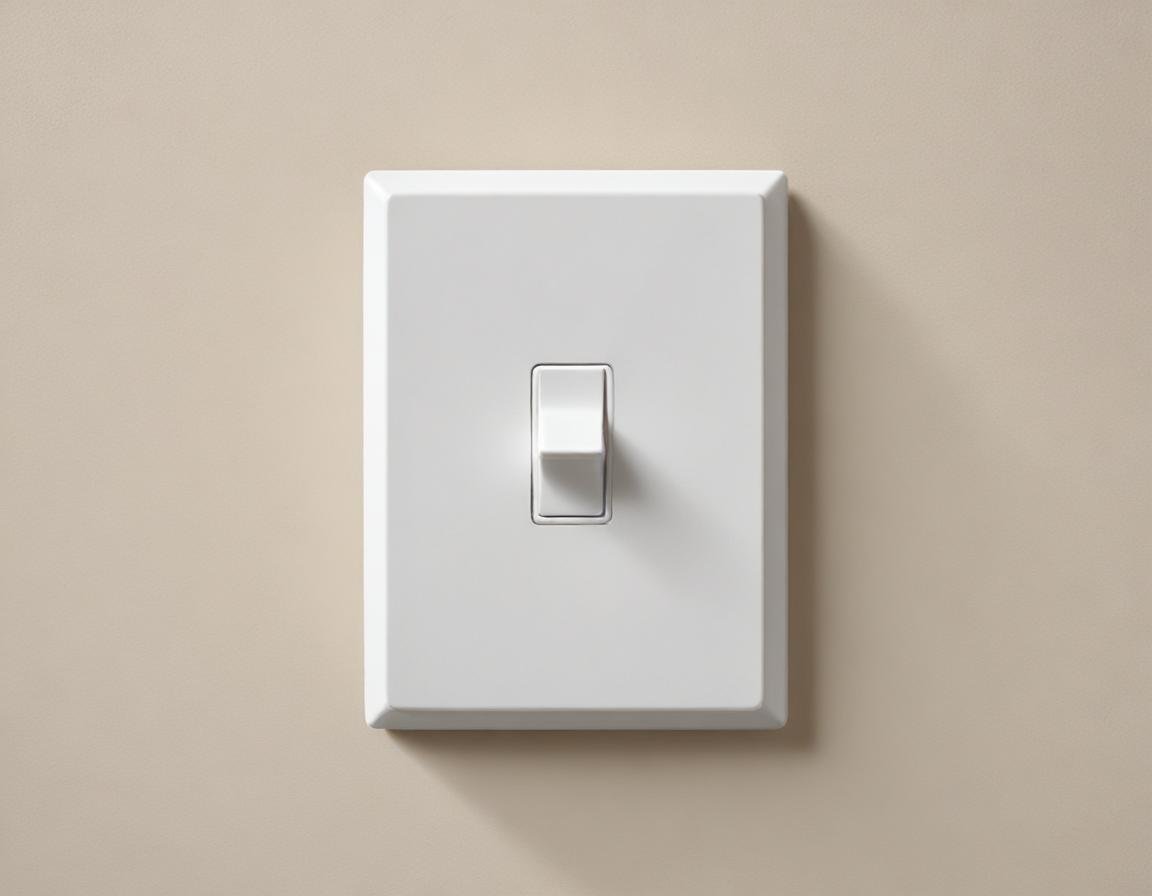 switch