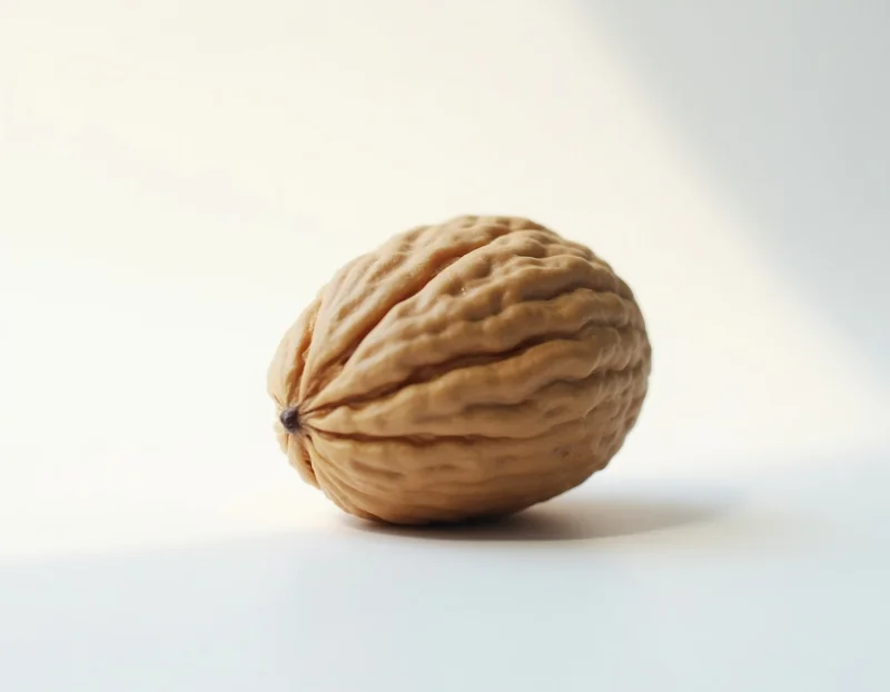 walnut