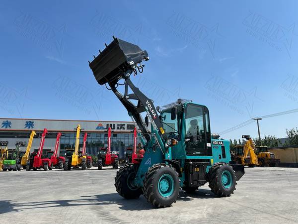 Мини-погрузчики - Случайное фото к тексту №4