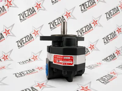 Насос CBFC-18 (2 болта шпонка 20 мм) 2000 r/min 16 MPa