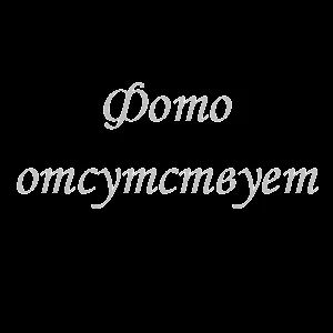 Двигатель Changchai ZN390Q