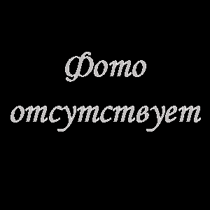 Двигатель HK 4DWQ-GD 42kW